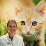 Wietske de Jong